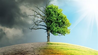 الإمارات.. مبادرات استباقية في مواجهة التصحر محليا وعالميا