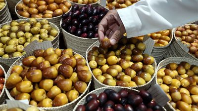 تحت رعاية منصور بن زايد..الدورة الـ19 من مهرجان ليوا للرطب تعقد فعالياتها