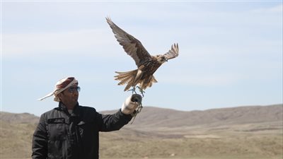 برنامج الشيخ زايد لإطلاق الصقور يحتفل بالذكرى السنوية الـ29 لتأسيسه