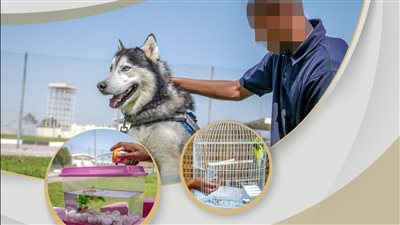 شرطة أبوظبي تُطلق مشروع 