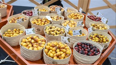 مهرجان ليوا للرطب يستقبل 139 صنفا من مزارع النخيل في الدولة