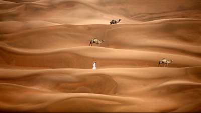  الدورة الـ17 من مهرجان الظفرة تعقد فعالياتها في أبوظبي