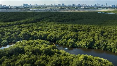 للإسهام في تحقيق أهداف 