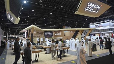 تشيا زد تونتي