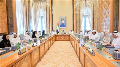 المجلس الوزاري للتنمية برئاسة منصور بن زايد يناقش عدداً من المبادرات والمشاريع لدعم المنظومة الحكومية
