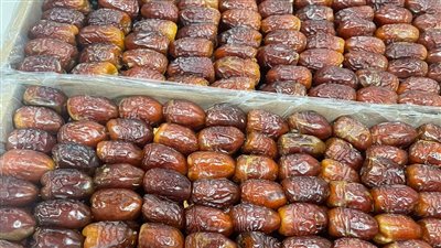 3.5 طن من تمور الدباس يسجلها 