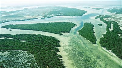 هيئة البيئة و