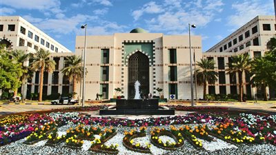 جامعة الإمارات تُطلق برنامج ماجستير جديد في الطب الجينومي