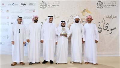 تواصل منافسات مزاينة سويحان بمهرجان الظفرة وتتويج الفائزين