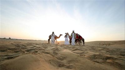 مزاينة رزين المحطة الثانية في مهرجان الظفرة تنطلق غداً