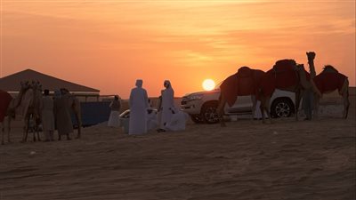 انطلاق منافسات مزاينة رزين المحطة الثانية من مهرجان الظفرة