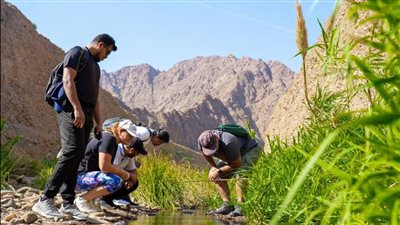 فريق عام الاستدامة يطلق فعالية 