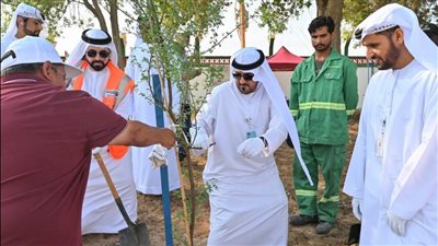 بلدية مدينة أبوظبي تشارك في زراعة 3500 شجرة غاف ضمن مبادرة 