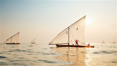 فتح باب التسجيل للمشاركة في سباقات المحامل والبوانيش لمهرجان 