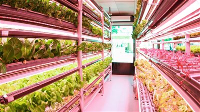 جناح النظم الغذائية في COP28 يسلط الضوء على دور الغذاء في حل الأزمة المناخية