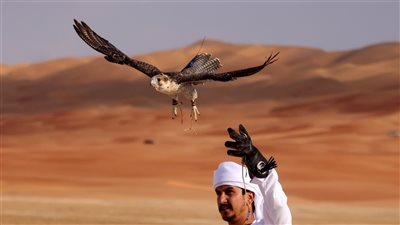 مهرجان ليوا الدولي ... 