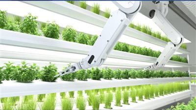 الأضخم عالميا.. الإمارات تتوسع في تشييد المزارع العمودية تعزيزا لأمنها الغذائي