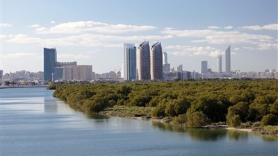 بتوجيهات حمدان بن زايد .. أبوظبي تستكمل زراعة 44 مليون شجرة قرم ضمن جهود الدولة بمكافحة التغير المناخي