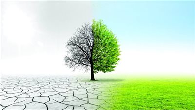 الحوار الإماراتي الألماني للأطفال يبرز الدور الفعال للنشء في مواجهة التحديات المناخية