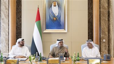 المجلس الوزاري للتنمية برئاسة منصور بن زايد يناقش عدداً من المبادرات والمشاريع لدعم المنظومة الحكومية