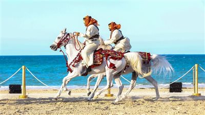  اكتمال الاستعدادات لانطلاق النسخة الـ 4 لبطولة الظفرة للخيول العربية الخميس