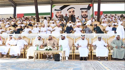 180 مالك إبل يتنافسون في أشواط مزاينة مهرجان الظفرة