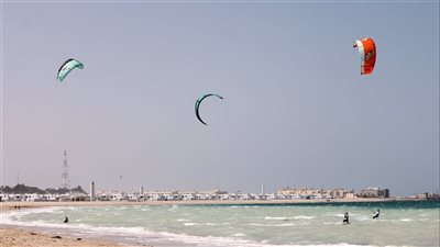 مهرجان الظفرة البحري يتوج الفائزين في سباقات 