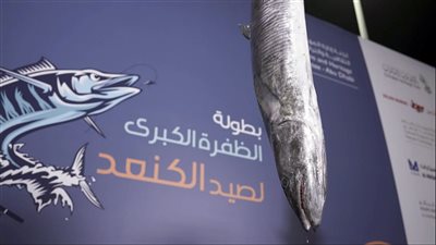 487 مشاركا في بطولة الظفرة الكبرى لصيد الكنعد بمرحلتها الختامية