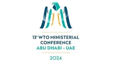 الإمارات تطلق منصة 