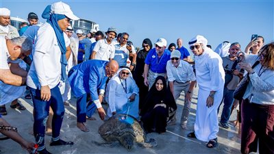إطلاق 214 سلحفاة إلى موائلها الطبيعية