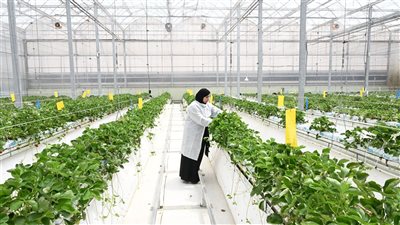  طاقات وطنية خلاقة تقود مشاريع ذكية ومستدامة