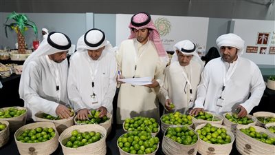 58 مزارعاً يتنافسون في مسابقة الليمون بـ 