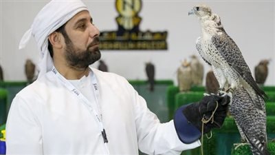فعاليات تراثية وأنشطة ثقافية في أبوظبي للصيد والفروسية