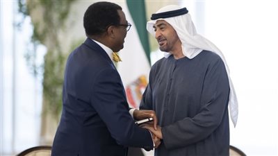 رئيس الدولة يستقبل رئيس مجموعة البنك الأفريقي للتنمية