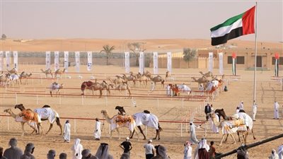 تحت رعاية رئيس الدولة.. مهرجان الظفرة ينطلق 21 أكتوبر