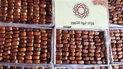 برعاية حمدان بن زايد .. مهرجان و مزاد 