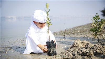 البرنامج الوطني 