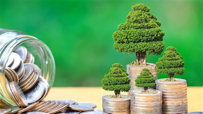 الإمارات... ريادة عالمية في حشد التمويل الأخضر والإصدارات المستدامة