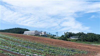 مسؤولون كوريون: نتطلع للتعاون مع الإمارات في مجال الزراعة الذكية