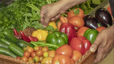 المهرجانات الزراعية في الإمارات.. منصات لاستعراض أبرز التقنيات وزيادة تنافسية المنتجات المحلية