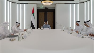 برئاسة منصور بن زايد..