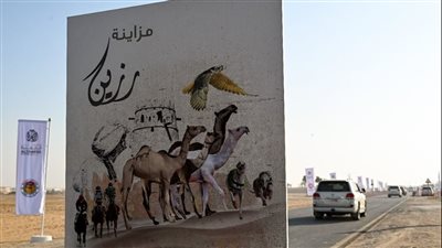 انطلاق منافسات مزاينة رزين المحطة الثانية من مهرجان الظفرة 14 نوفمبر الجاري