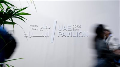 الإمارات في COP29.. جهود حثيثة لتحفيز التعاون العالمي وتسريع العمل المناخي المشترك