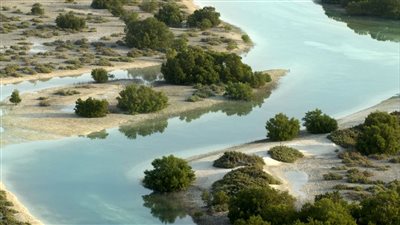 أبوظبي أول مدينة بالمنطقة تطبق 