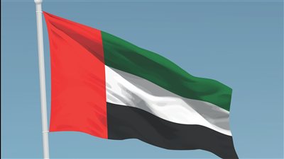حصاد 2024 .. الإمارات الأولى عالميا في 223 مؤشرا للتنافسية العالمية