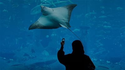 أبوظبي تفوز باستضافة المؤتمر الدولي للأحواض المائية 2030