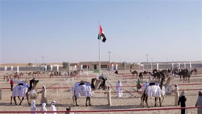 تتويج الفائزين بمزاينة مهرجان الظفرة الختامي