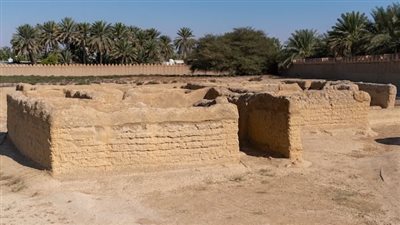 ثقافة وسياحة أبوظبي تطلق الدورة التدريبيّة الدولية لحفظ العمارة الطينية 2025