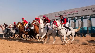 سباق الخيول العربية الأصيلة السادس ينطلق غداً في الظفرة
